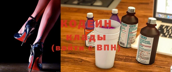 индика Киреевск