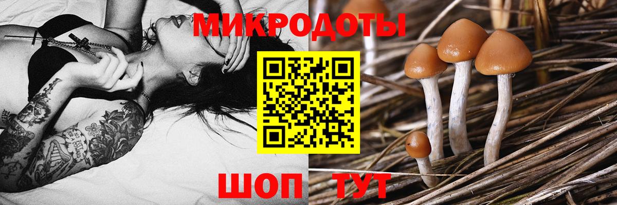 Псилоцибиновые грибы прущие грибы Усинск